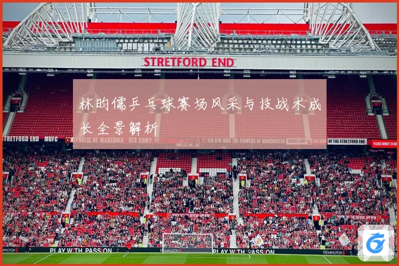 林昀儒乒乓球赛场风采与技战术成长全景解析